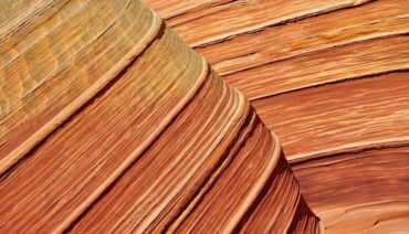 Nahaufnahme geschichteter Holzfurniere mit deutlich sichtbaren Maserungen